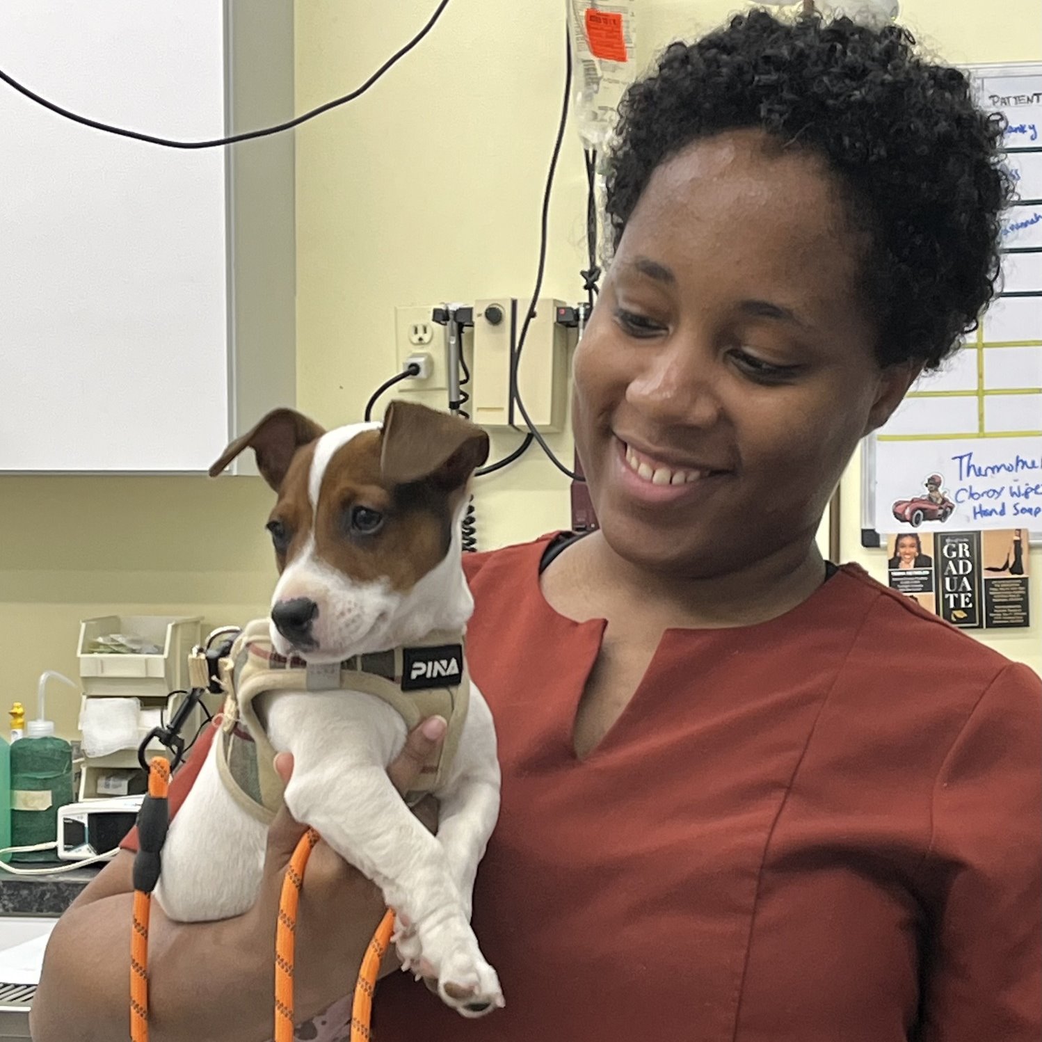 Staff Holding a Puppy