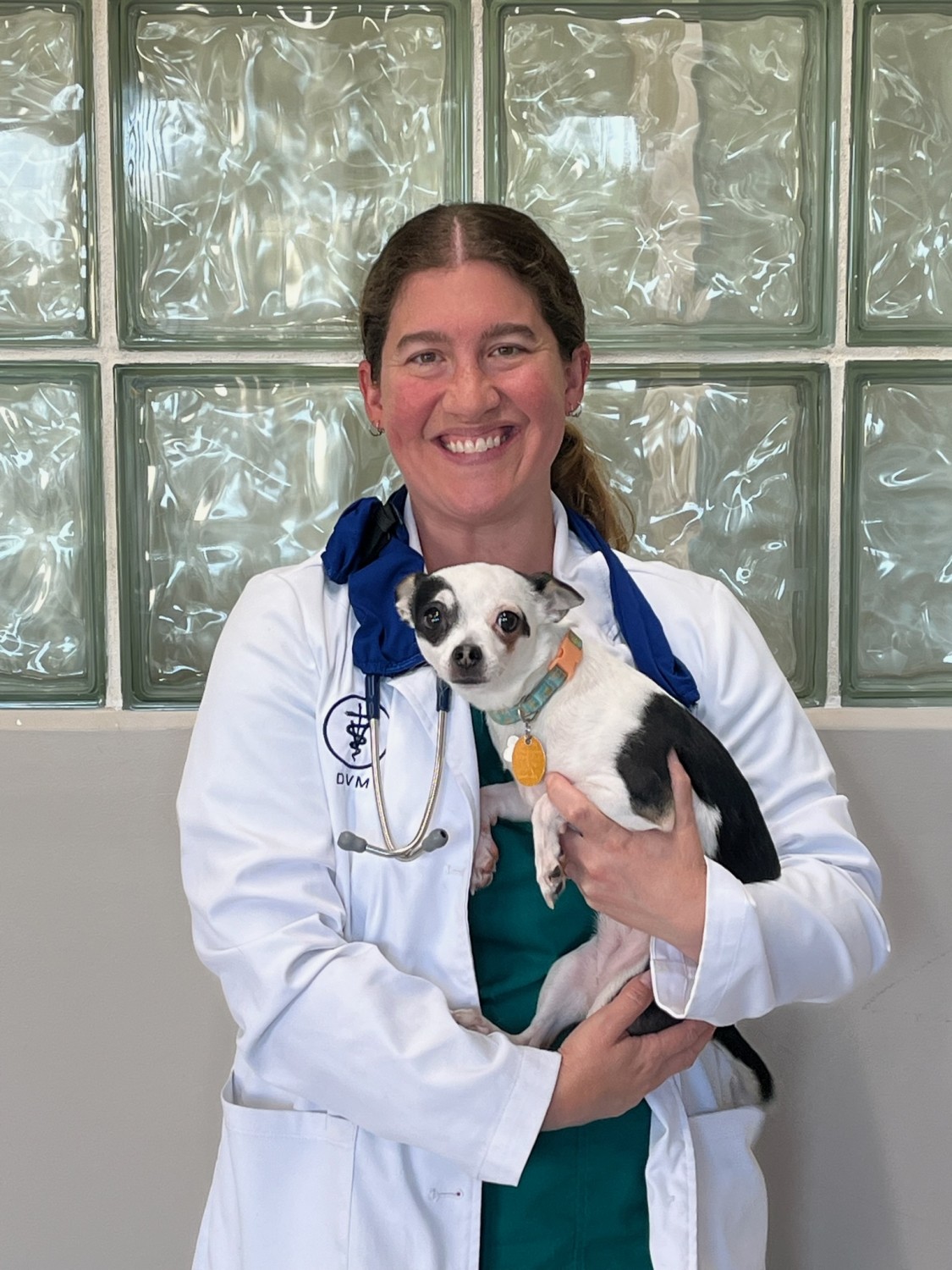 Dr. Heather Dearie Dr. Heather Dearie